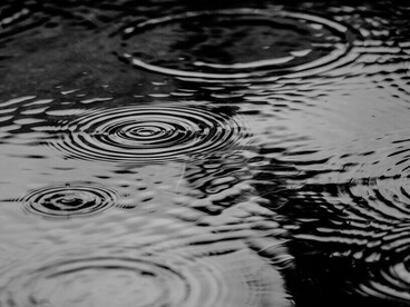 Chaque forme est une stabilisation provisoire au sein d’un champ de tensions et de flux