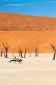 O Deserto do Namíbia está localizado na costa atlântica da Namíbia, no sudoeste africano, chegando a sua parte mais setentrional até o sul de Angola