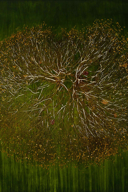 Mayme Kratz, Dark garden 18 (detail), 2025. Courtesy of Gilman Contemporary