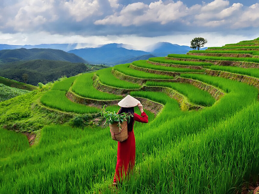 EU's due diligence: threat to global smallholder farmers