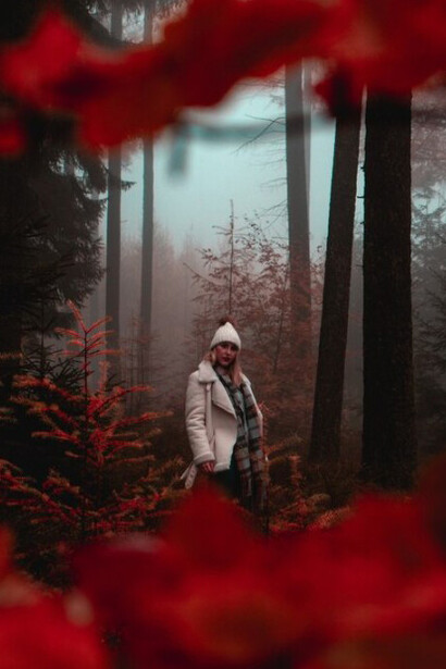 Shrouded in mist, a woman walks alone through a quiet forest painted with the deep reds of fall