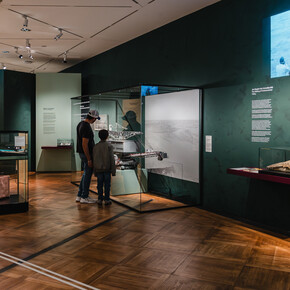 Natur und deutsche geschichte, ausstellungsansicht. Mit freundlicher genehmigung der Bundeskunsthalle
