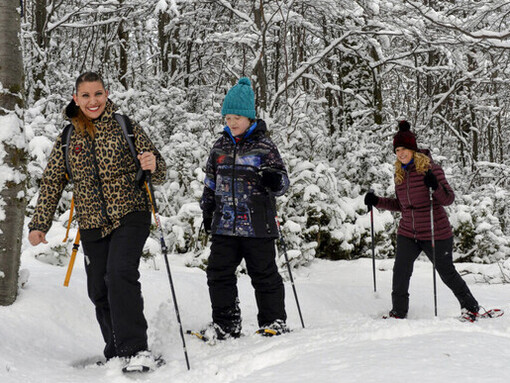 Para los amantes del aire libre, Ushuaia, Argentina, ofrece múltiples senderos de trekking que conducen a glaciares imponentes y miradores naturales
