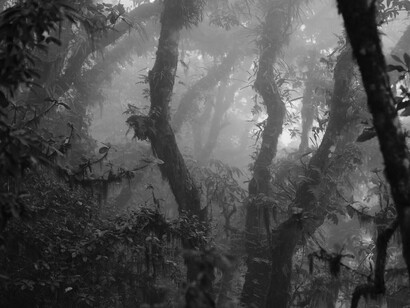 Ludwig Spaude, 0497 – Unter dem gleichen Himmel, 2025. Courtesy of Galerie Albrecht