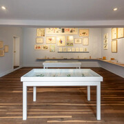 The being of drawing, exhibition view. Courtesy of Casas Riegner Gallery