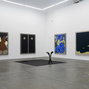 Laeh Glenn, Rip or Rag, 2017, Installation view. Altman Siegel, San Francisco