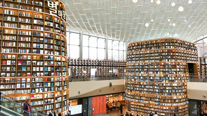 As bibliotecas, têm, pois, um papel fundamental para romper com o desafio da resistência e desconhecimento das literaturas africanas. No Brasil, por exemplo, a biblioteca escolar, e não só, ainda precisa lidar com interferência e resistência, principalmente quando se trata da temática africanidades e a literatura africana em língua portuguesa, apesar da existência da Lei 10.639/03 que versa sobre o ensino da história e cultura afro-brasileira e africana, ressaltando a importância da cultura negra na formação da sociedade brasileira