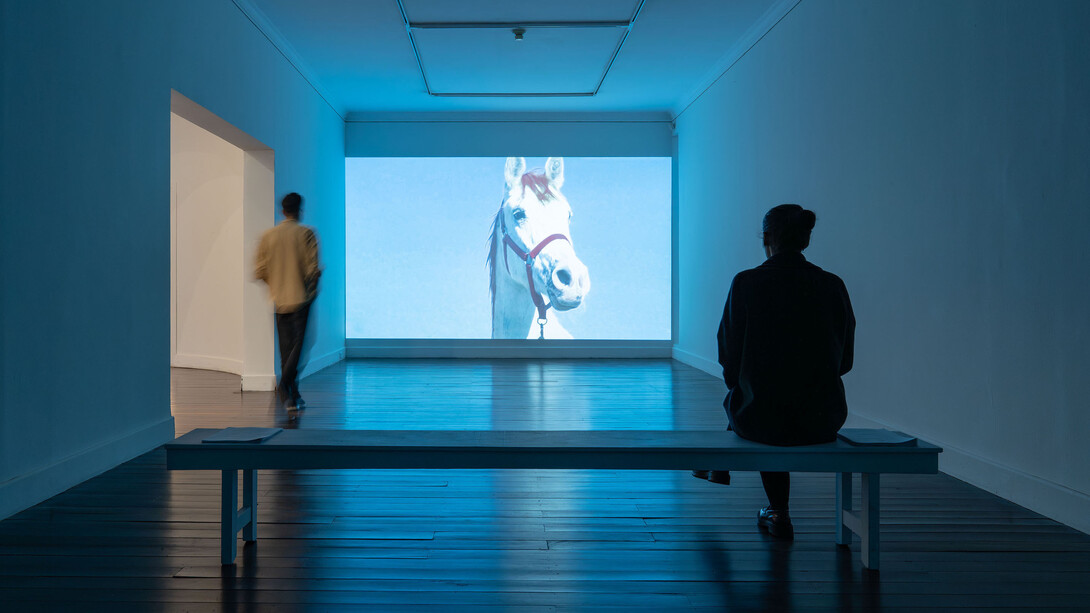 Carlos Alfonso, Shapes of visions that fly at night, exhibition view. Courtesy of Casas Riegner