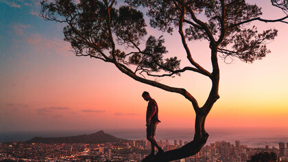 A man stands on a tree branch at sunset in Honolulu, Hawaii, silhouetted against the glowing sky