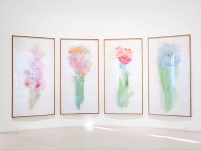 Michel Paysant, See Monet, exhibition view. Courtesy of Musée de l'Orangerie