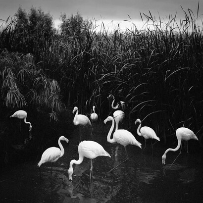 Salon Amsterdam. Courtesy of Galerie Wouter van Leeuwen