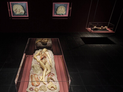 Verschiedene künstler, Anatomie der fragilität – Körperbilder in kunst und wissenschaft, ausstellungsansicht. Mit freundlicher genehmigung des Frankfurter Kunstvereins
