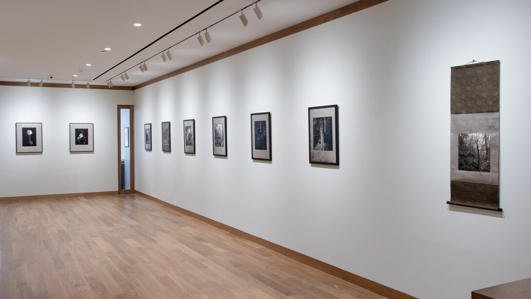 Kenro Izu, Mono no aware – The beauty of impermanence, exhibition view. Courtesy of Howard Greenberg Gallery