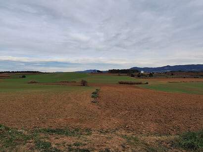 Aunque gran parte del espacio está formado por cultivos de secano, también cabe señalar la presencia de pinares. Gallecs, Santa Perpetua de Mogoda, Barcelona, España