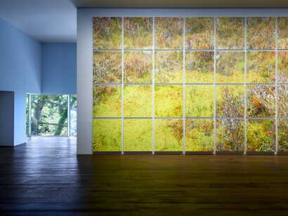 Lee Kwang-Ho, Traces of Gaze, exhibition view. Courtesy of Johyun Gallery 