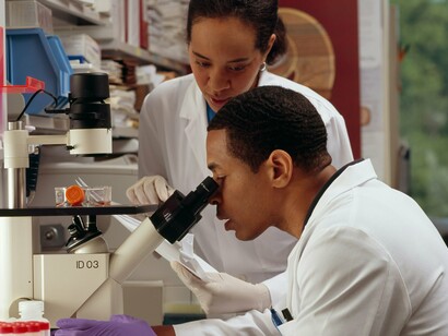 Researchers are investigating the noni plant as a possible natural source of new antibiotics in the global fight against resistant bacteria