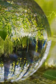 To date, no peer-reviewed study considers the digital industry’s combined ecological impacts