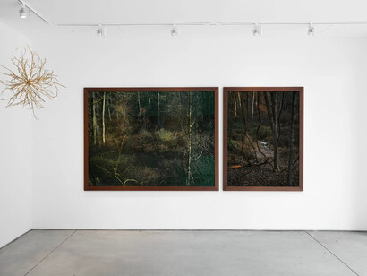 Edo Costantini, Delfina Braun and Delfina Muniz Barreto, Winter solstice: seeds of nothingness, exhibition view. Courtesy of Praxis 