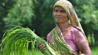 Climate Smart Village project under the CGIAR Research Program on Climate Change, Agriculture, and Food Security (CCAFS), South Asia program, in Vaishali, India. Photo credit: V. Reddy