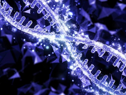 Life’s first medium: DNA strands encoding signals that shape organisms, behavior, and evolution