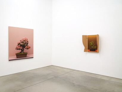 Erin Wright, Nearly natural, exhibition view. Courtesy of Maki Gallery