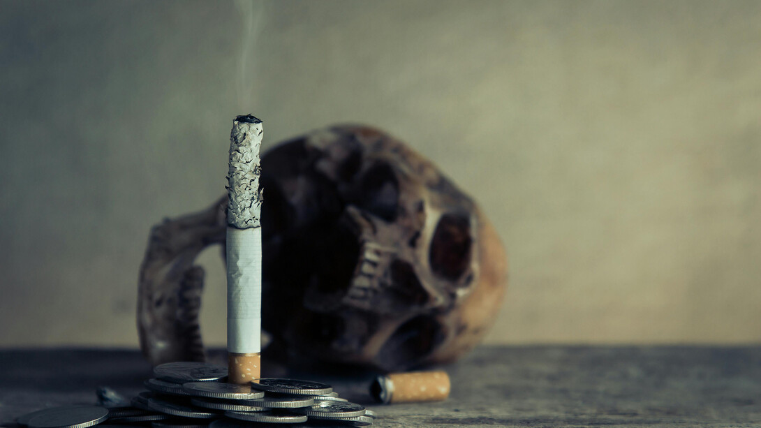 A close-up photo of burnt cigarette ashes