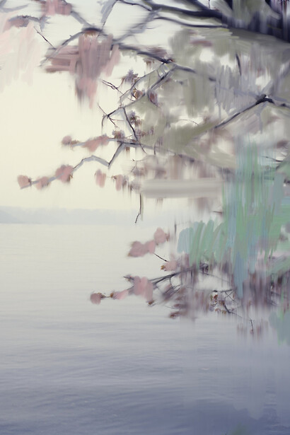 Sandra Kantanen, Untitled (Sakura 3) (detail), 2011. Courtesy of Turku Art Museum