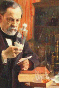 Louis Pasteur et la levure