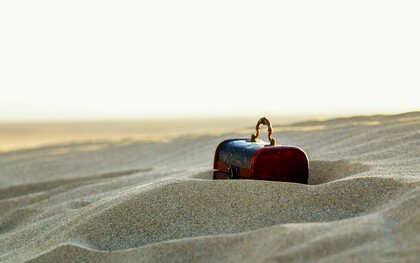 Sometimes, the most extraordinary discoveries are hiding just beneath the surface