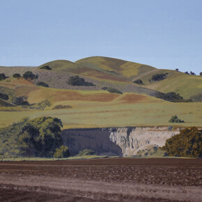 Bruce Everett, Canada de Los Alisos, 2024. Courtesy of Billis/Williams Gallery