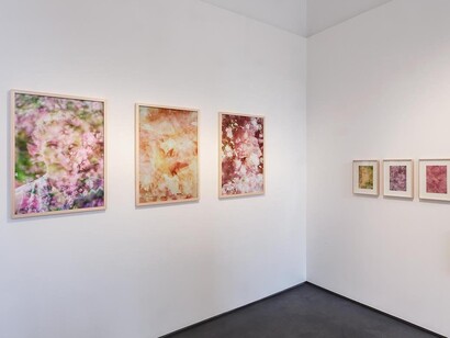 Various artists, Oh, how I wish I were a tree in the forest…exhibition view. Courtesy of Tobe Gallery 