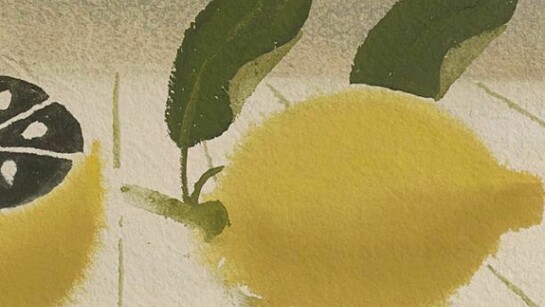 Mary Fedden, Still life with lemons signed and dated 1988, watercolour and gouache 4 1/2 x 7 3/4 in / 11.4 x 19.7 cm, Copyright, Richard Green Gallery, London