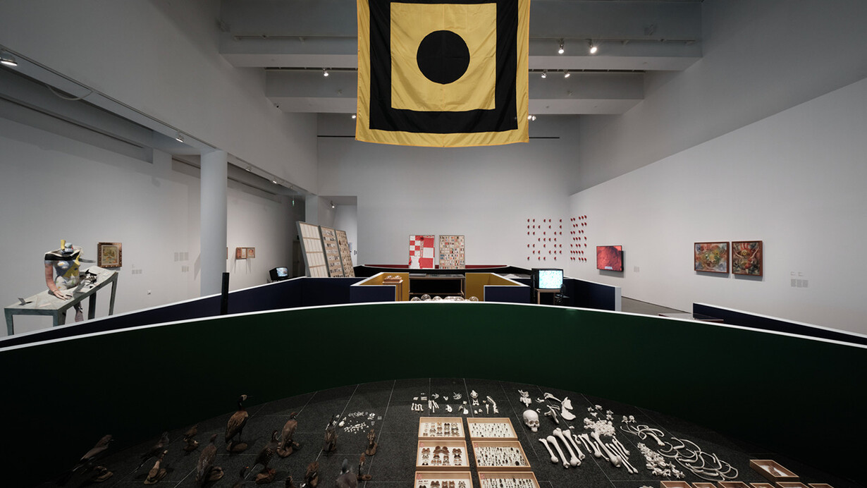 Como una danza de estorninos, vista de exhibición. Cortesía del MACBA