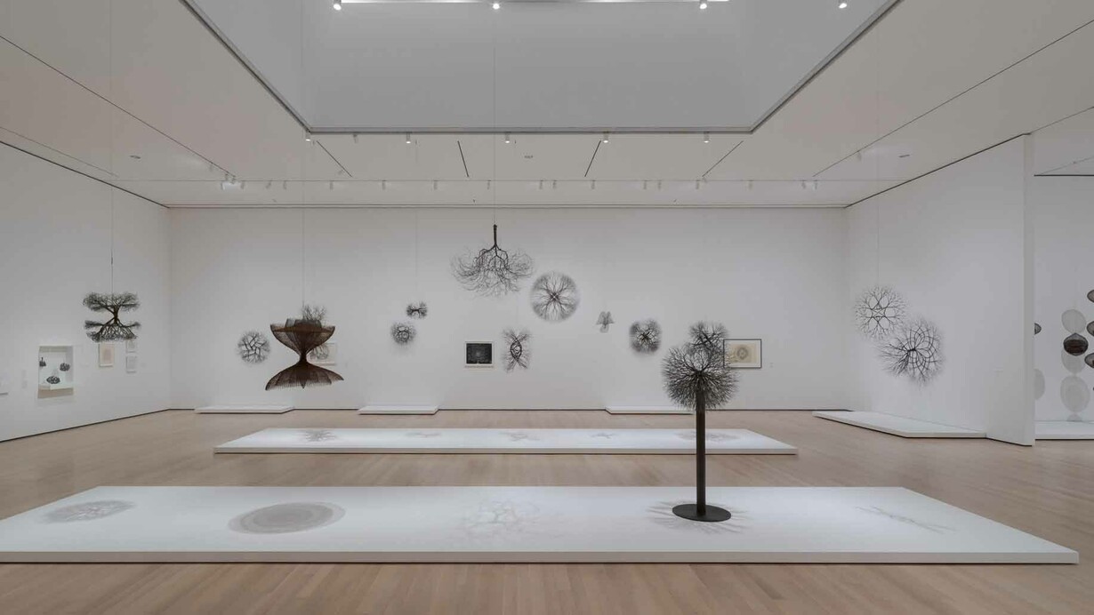 Ruth Asawa, A retrospective, exhibition view. Courtesy of MoMA