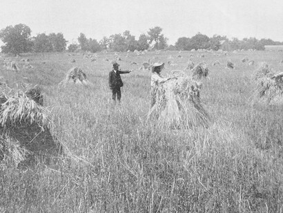 In the cane fields of Louisiana, enslaved men and women endured brutal labor that fueled immense wealth and planted the seeds of resistance
