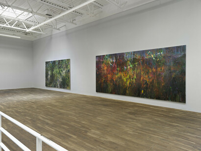 Doron Langberg, Landscapes, exhibition view. Courtesy of Jeffrey Deitch