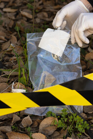 A importância do criminólogo