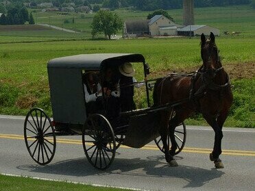 Famille amish en calèche traditionnelle, symbole de résistance à la modernité technologique (Lancaster, États-Unis, 29/05/2004)