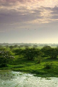 Keoladeo National Park © James P. Blair