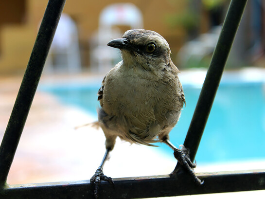 Un encuentro inesperado con la fragilidad de la vida abre un camino de cuidado, vínculo y aprendizaje profundo