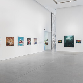 Darvish, Enrapture, exhibition view. Courtesy of Leila Heller Gallery 