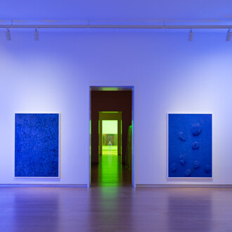 Pamela Rosenkranz, Liquid body, exhibition view. Courtesy of Stedelijk Museum