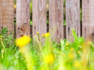 Uno sfondo di assi di legno grezzo: "Il paradigma dominante tende così a diventare un inibitore della novità"