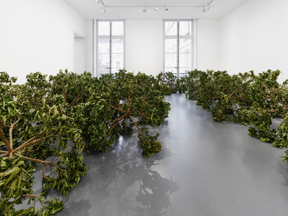 Paola Pivi, Live again, vue de l'exposition. Avec l'aimable autorisation de Perrotin