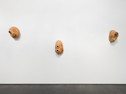 Solange Pessoa, Catch the sun with your hand, exhibition view. Courtesy of Aspen Art Museum