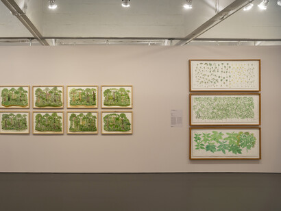 Abel Rodríguez—Mogaje Guihu, The tree of life and abundance, exhibition view. Courtesy of MASP 