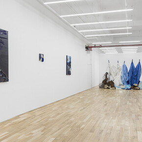 Julie Schenkelberg, Looking glass, exhibition view. Courtesy of Asya Geisberg Gallery