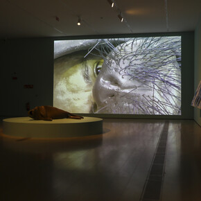 Varios artistas, Itinerarios XXX, vista de exhibición. Cortesía del Centro Botín