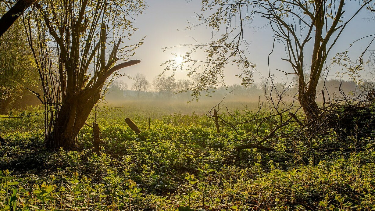 La tierra se ha empapado, los árboles respiran hondo y, al pasar, me envuelve un regalo inesperado: un olor subyugante a bosque limpio y tierra recién impregnada