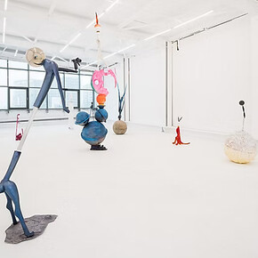 Cristian Răduță, Build a ladder from your bones, exhibition view. Courtesy of Sandwich Gallery